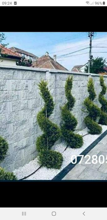 gazon rulou brazi spirale