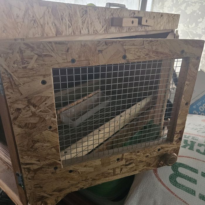 Брудер для цыплят новый