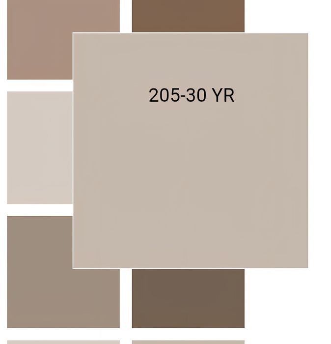 Боя VITEX VISTA PLUS за 200м2 (Бежова)