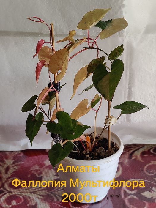 Продам Хобби для души