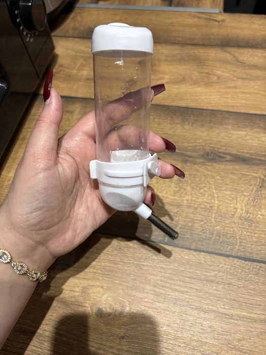 Всичко за хамстери