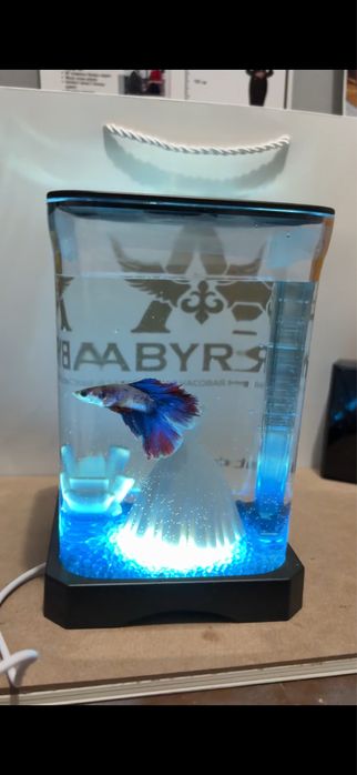 Аквариум + рибки + корм