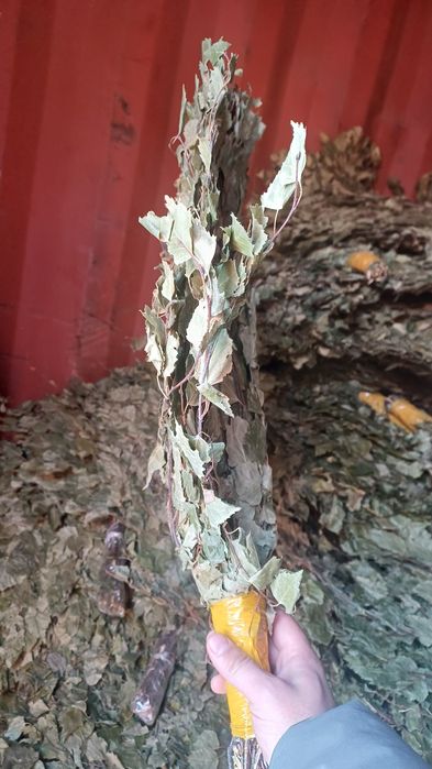 Банные берёзовые веники