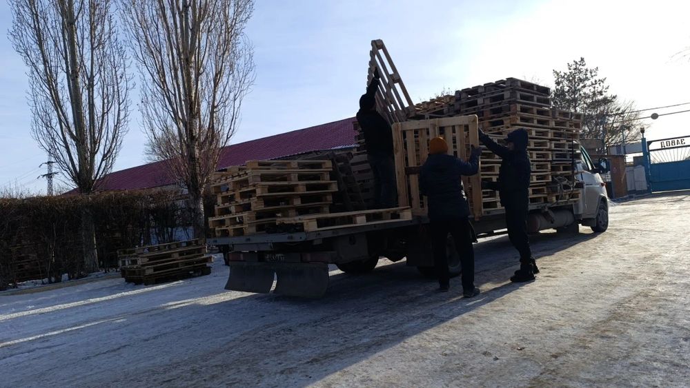 Поддоны всех видов