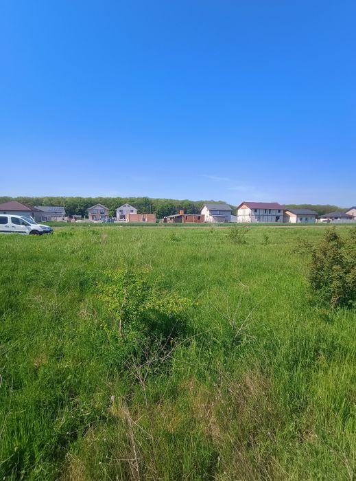 Loturi de Casă Cosoba!!!