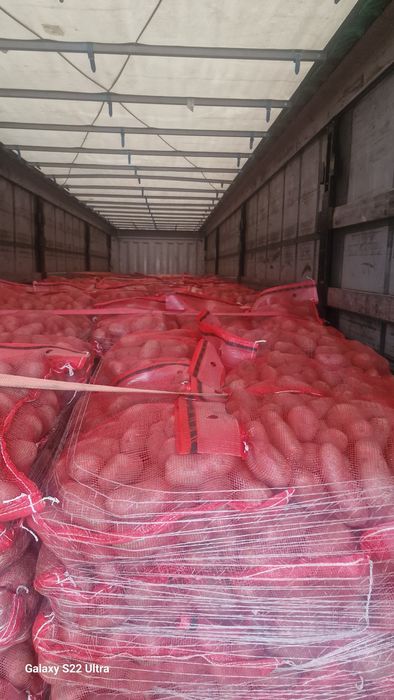 Cartofi import Franta 25kg