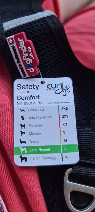 Ham CURLI mărimea Jack Russel