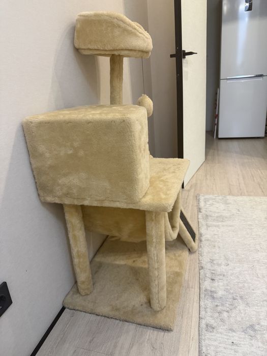 Кошачий большой дом