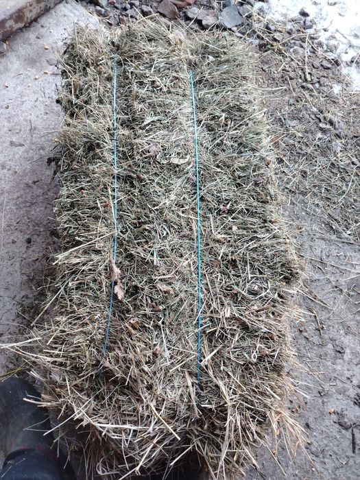 Fân,lucernā otavā