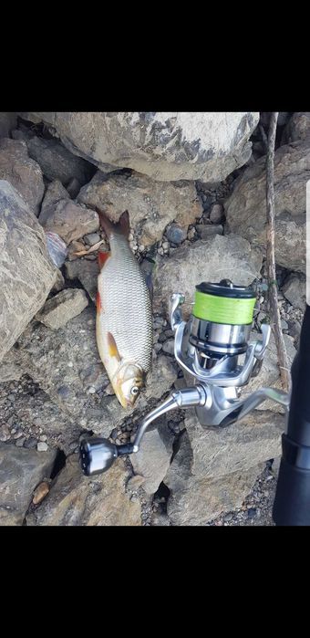 Mulineta Shimano Stradic fl 4000XG