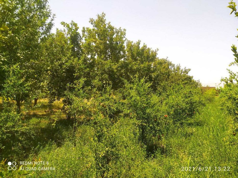 4 хонадан иборат булган уй сотилади