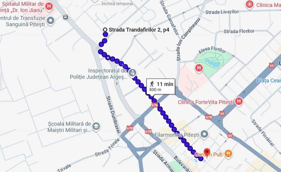 3 camere Eremia Grigorescu