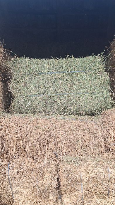 Baloți de lucernă de vânzare