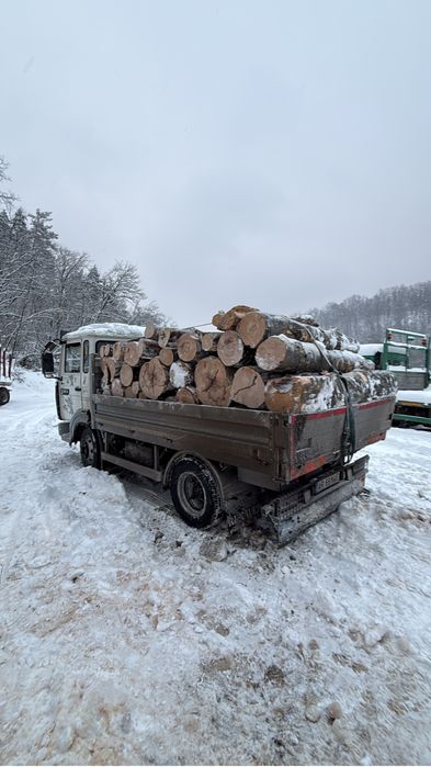 Lemne de foc esenta tare