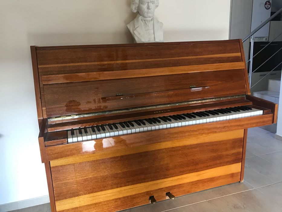 Pianina Riga placa bronz