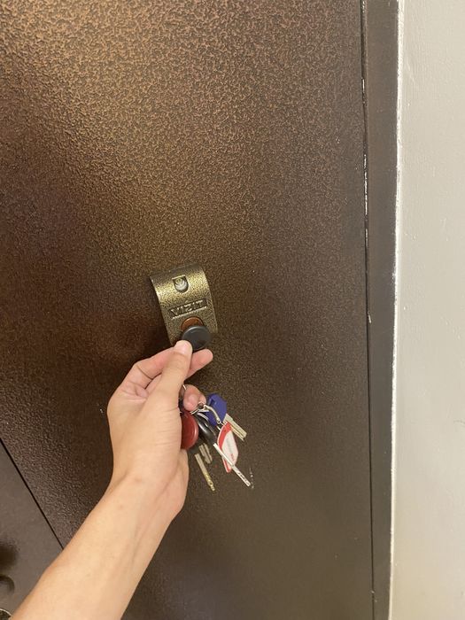 Считыватель, кнопка открывания