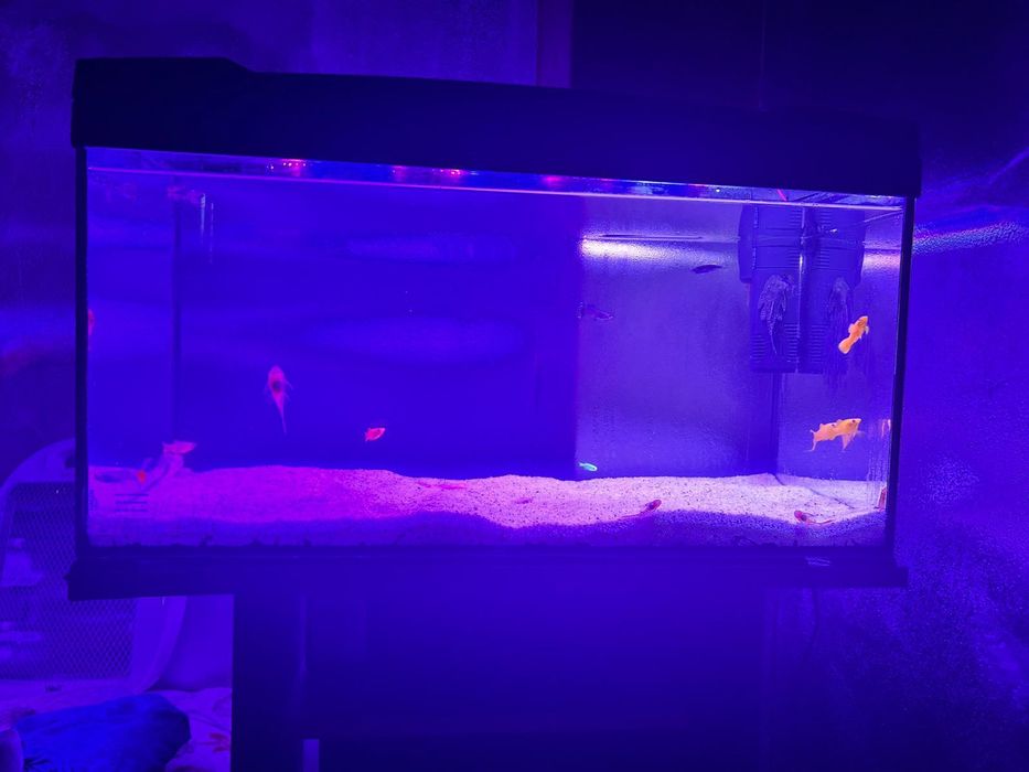 Schimb acavriu pentru filtru extern