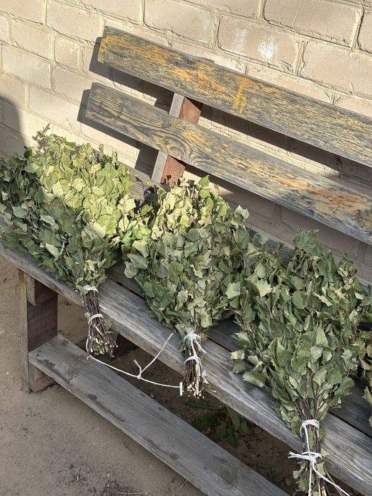 Продам березовые веники