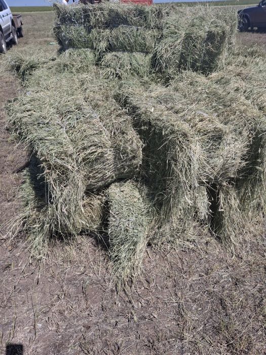 Продаётся сено житняк тюках разотравие