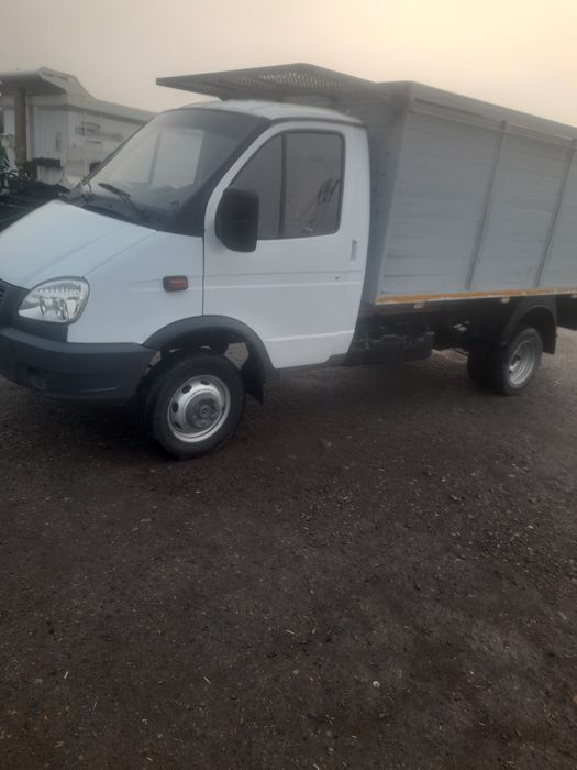 Газел бартавой сотилади