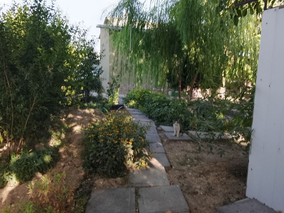 СРОЧНО!!!Продаётся дом (дача), Пскентский район