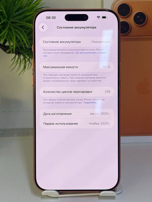 iPhone 17 Pro  Akb 100%  цп 118