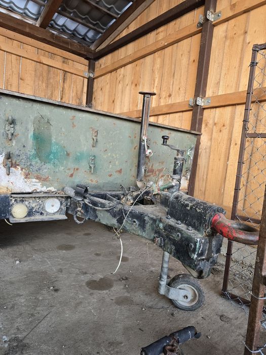 Oua gaini brahma metisi