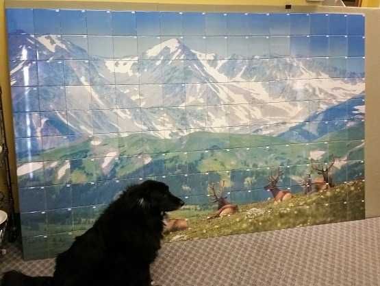 faianta decorativa, transfer imagini personalizate pe  lemn piele etc