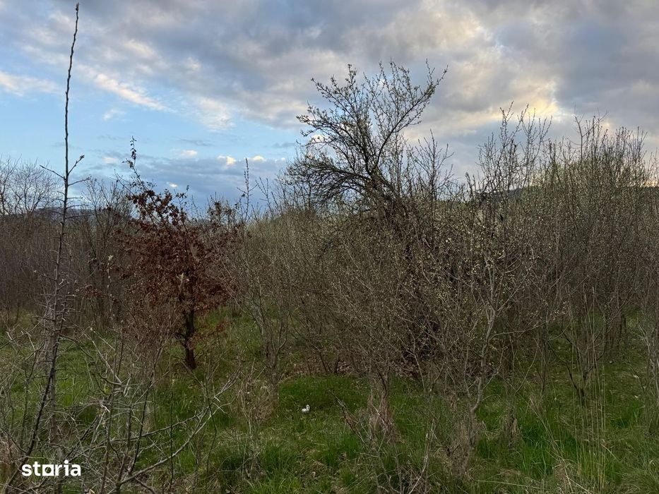 Vand teren la intrare in localiatea Vale, oras Saliste, jud. Sibiu