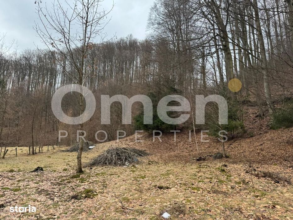 Teren extravilan de vânzare | 1402 mp | Blidari | zonă superbă