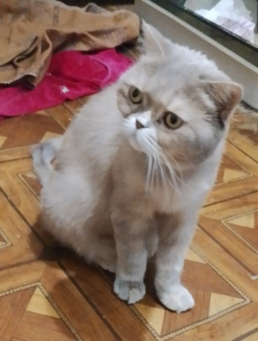 Девочка 1 год)))