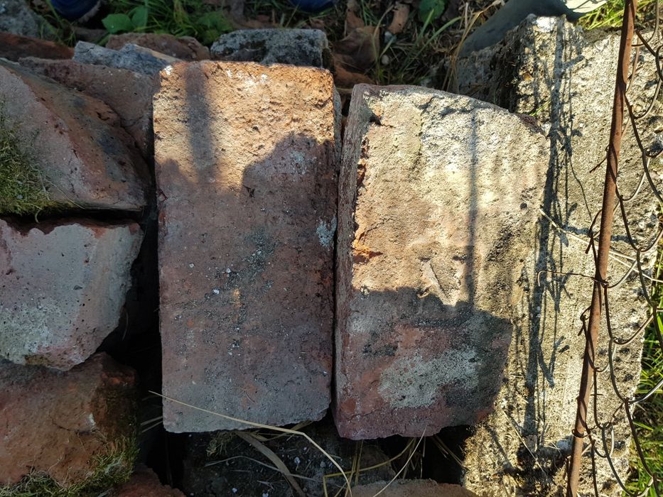 Vănd cărămizi din demolări 100 lei toate