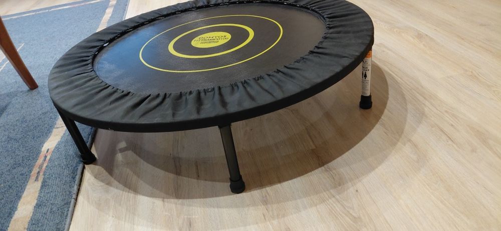 Батут Domyos 100