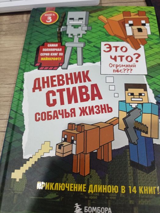 Книга дневник стива