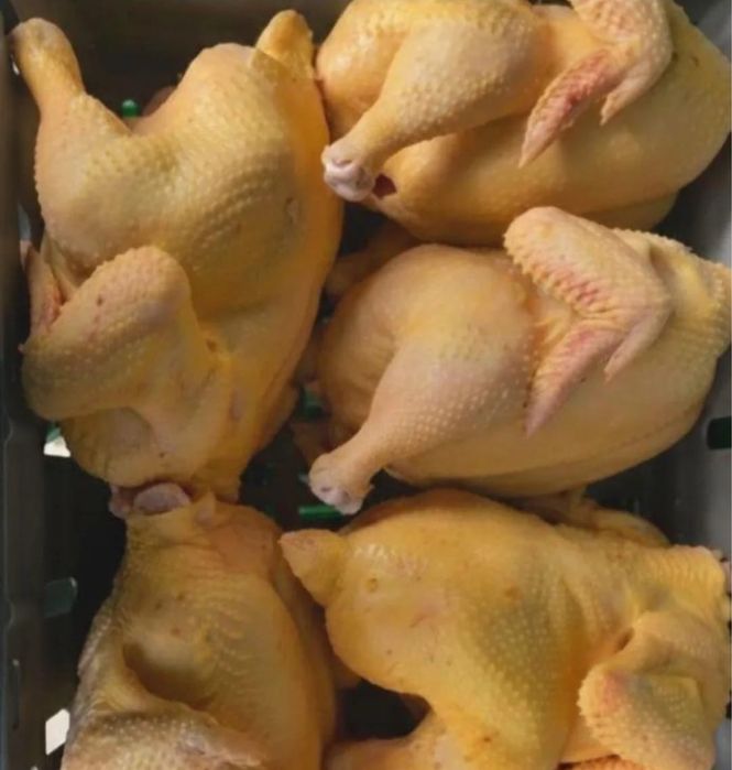 Продаю домашних бройлеров