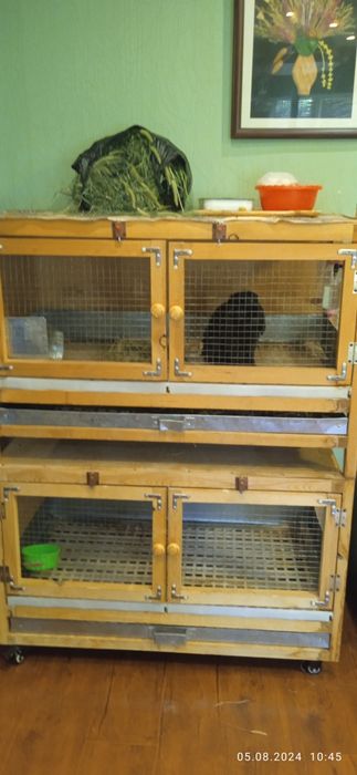 Клетки для кроликов, грызунов