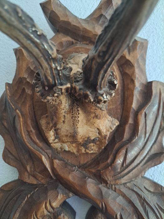 Coarne căprior pe suport sculptat