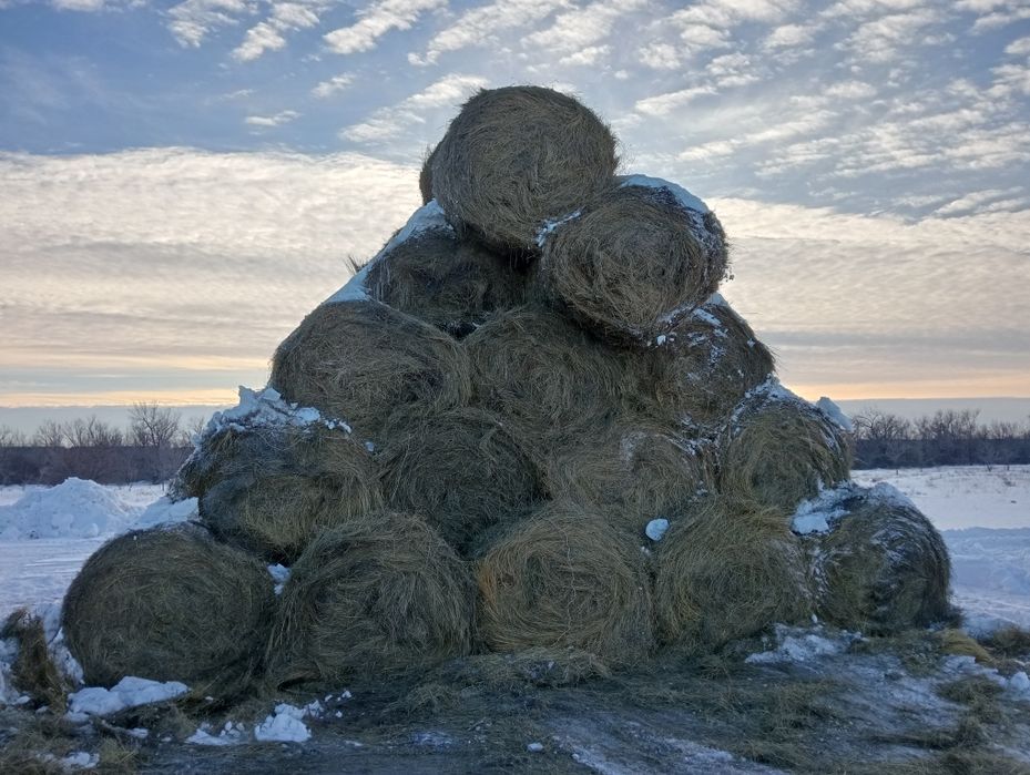 Продам рулон сено