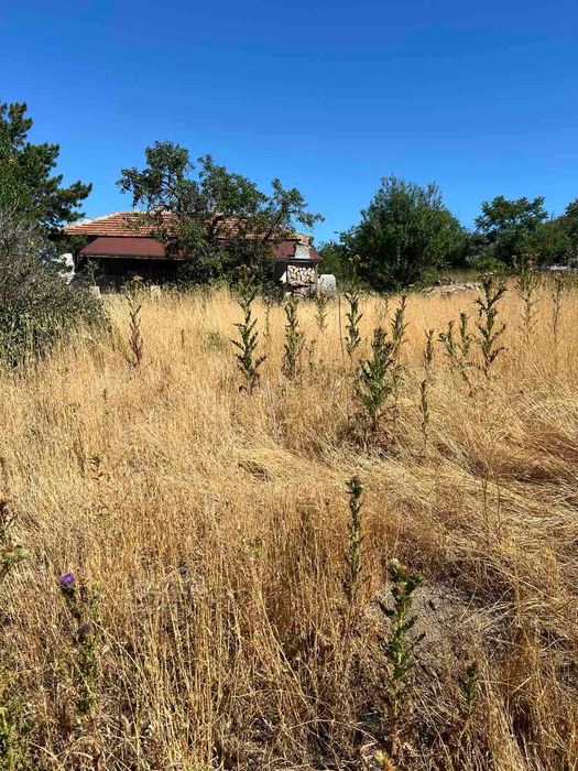 Продава се Парцел в с. Чернево, Област Варна - 1221 кв.м за 23 €/кв.м - Снимка #2