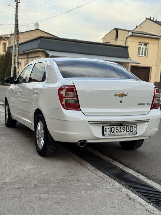 Cobalt 2026 MCM Aftanat