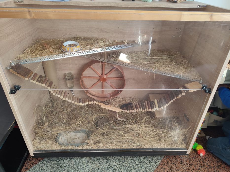 Терариум за джербили./мишки