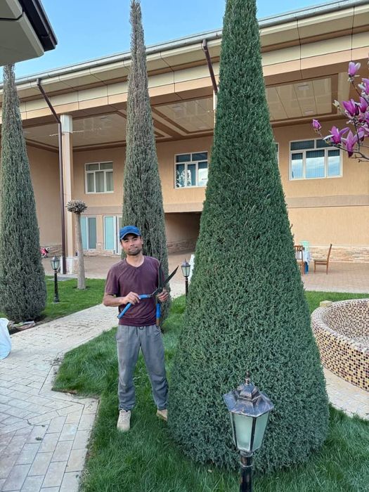 Арча кесиш Арча дорилаш