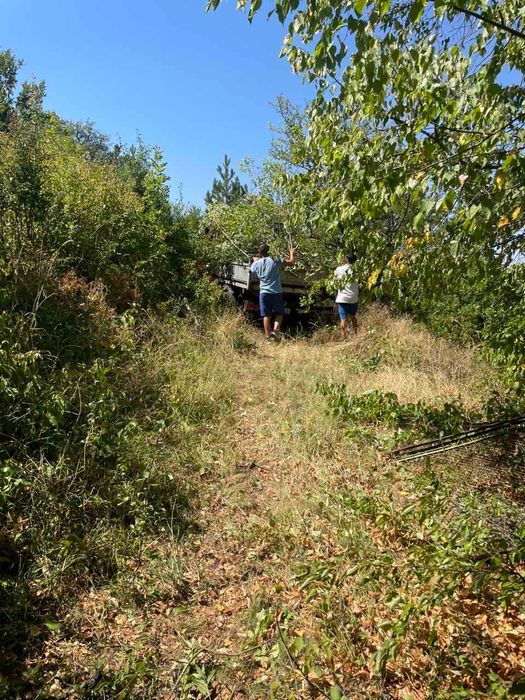 Кърти чисти извозва хамалски услуги рязане на дървета