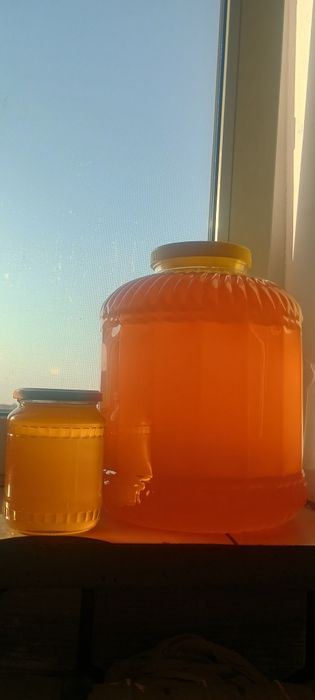 Miere de albine - Floarea Soarelui