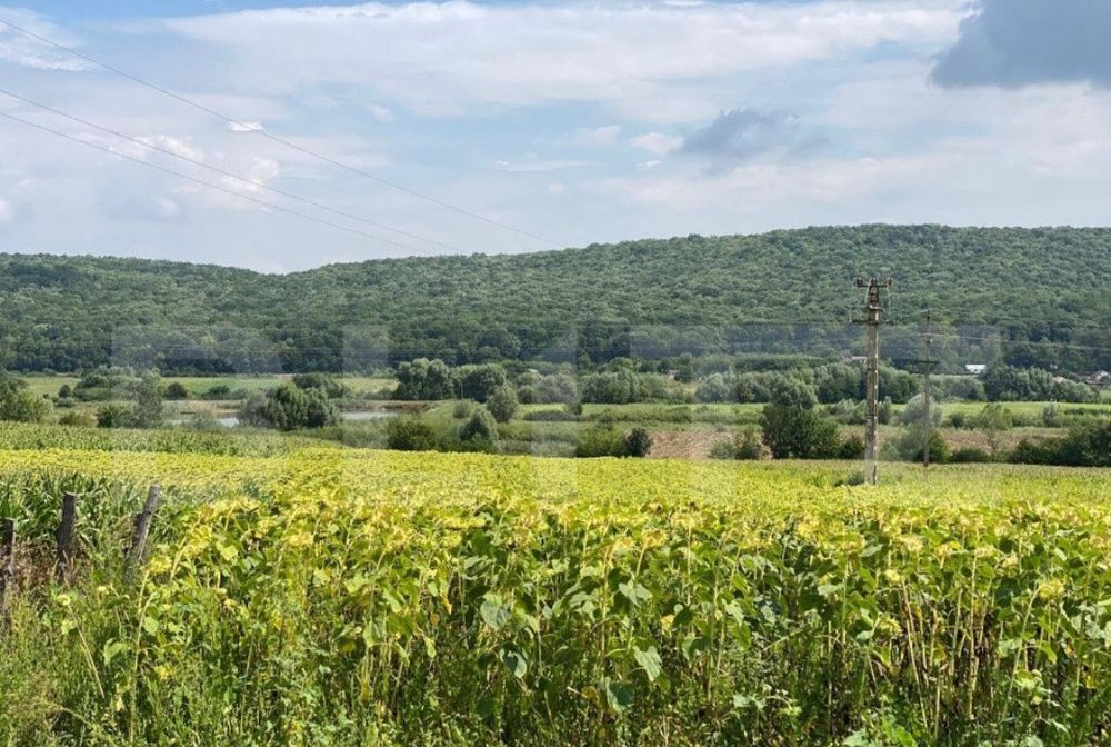 Casă bătrânească de vânzare