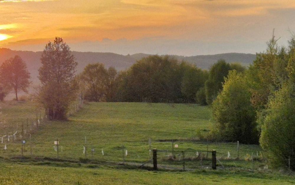 Teren 7024 mp Ciucea Cluj, livadă + pădure, curent, ideal cabană