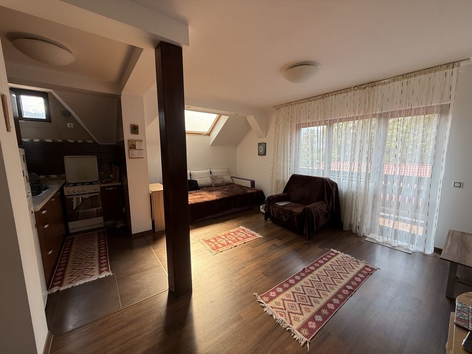 Apartament Busteni
