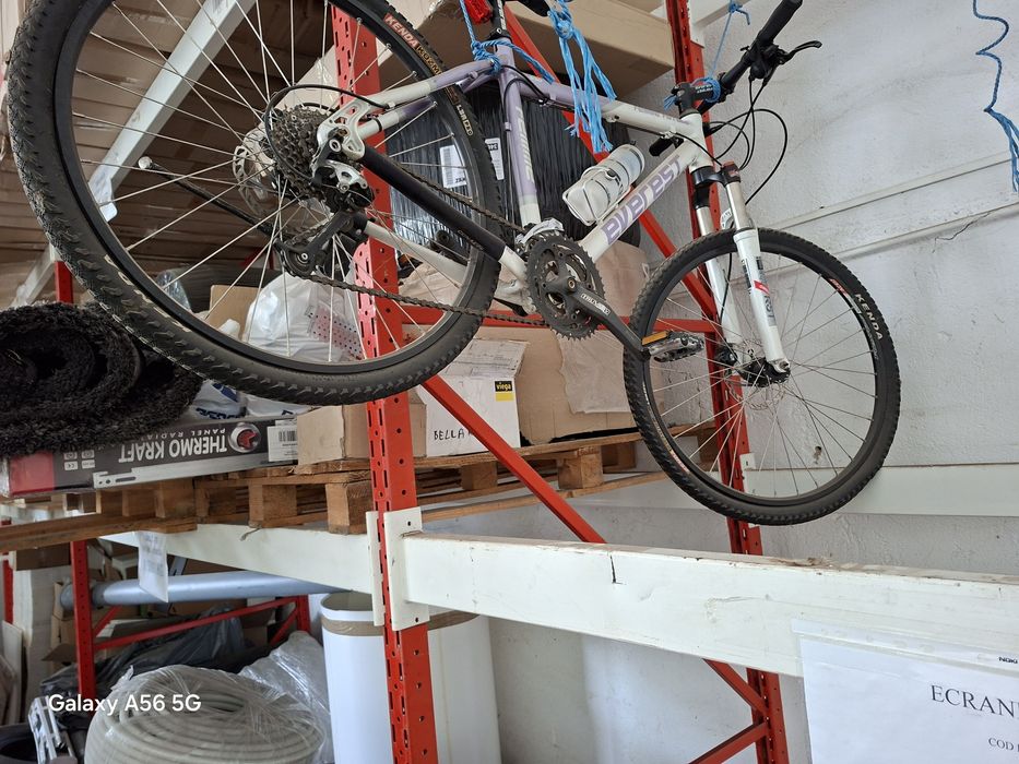 Biciclete de vânzare