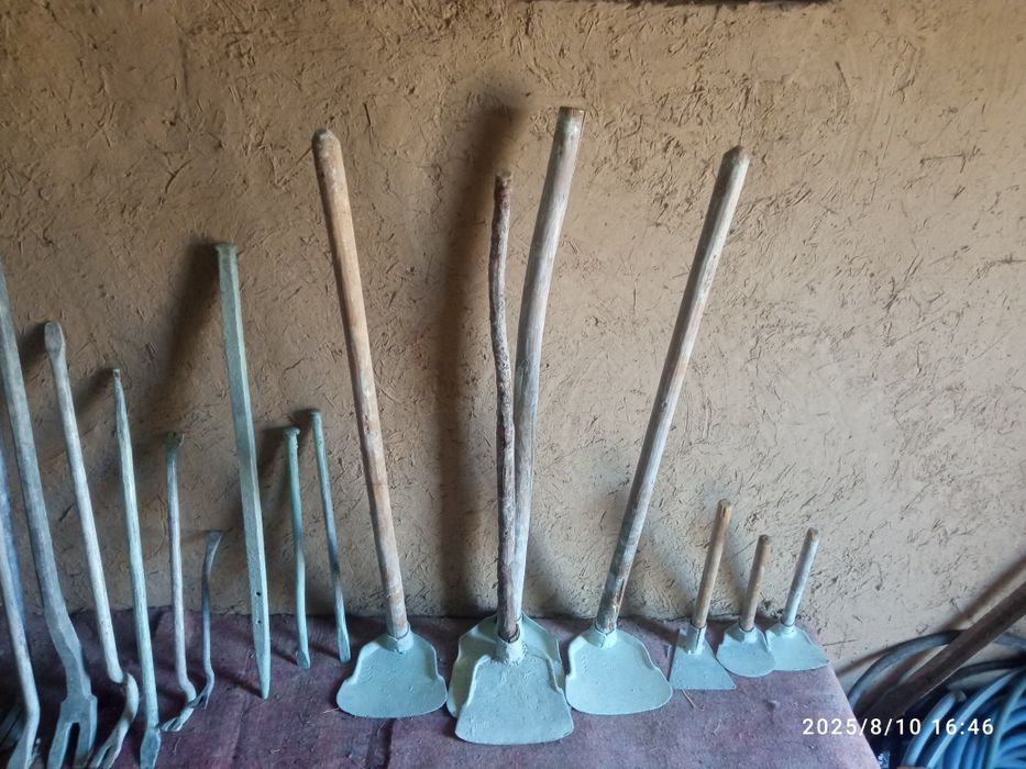 Kunlik Arenda --- Arava va anjom.  60.000 som