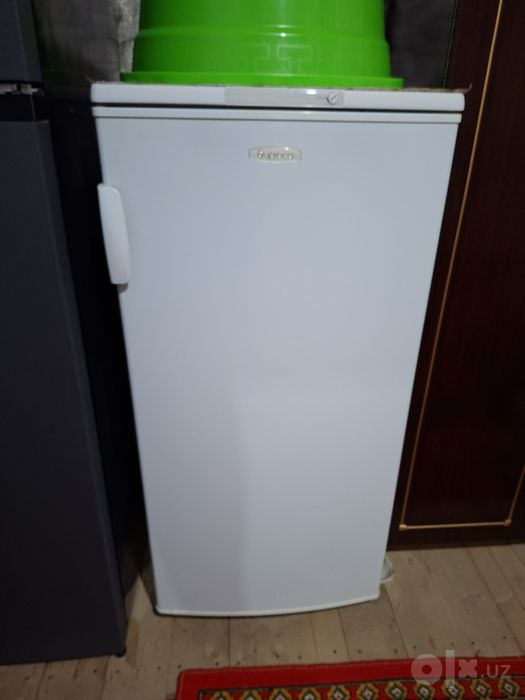 BIRYUSA xolodilnik, original rossiya brendi